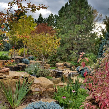 Oasis Amongst the Evergreens