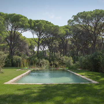 Natural swimming pool - Roccamare Toscana