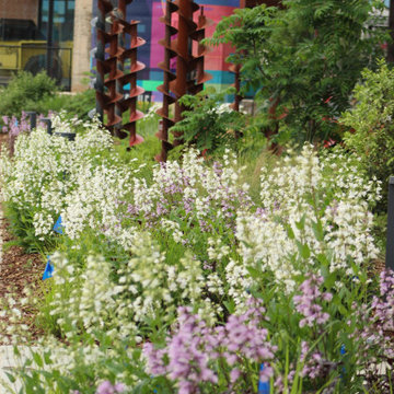 Landscaping Projects