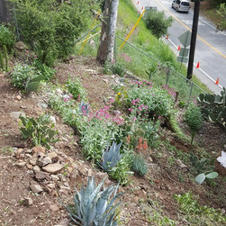 Brush clearance on topanga ca - Products