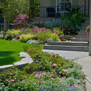 Cottage Garden pops using water wise plantings