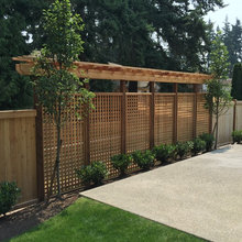 Trellis for side of house