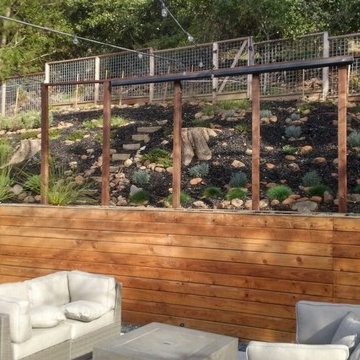 Low Maintenance Oakland Native Habitat