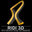 RIDI 3D