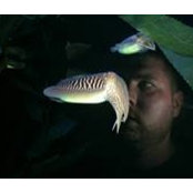Trevor Howery's photo