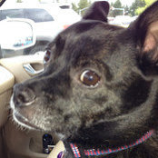 Ron Francis's photo