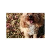 Laurie Regalado's photo