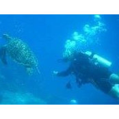 Melissa Bergeland's photo