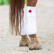 Marcie Doiron-Doyle's photo