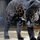 Val Hufft