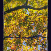 Val Spence's photo