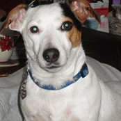 Sandie Rawl's photo