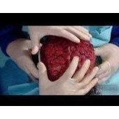 Rufat Ragimov's photo