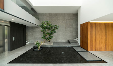 Feng Shui Tips You Should Know for Your Interior