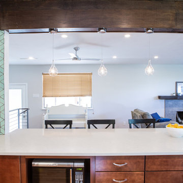 Detroit Street Kitchen Renovation
