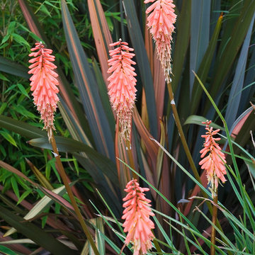 Form and Foliage, Surrey