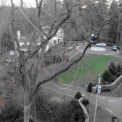 Aerial Lighting Installation - Products
