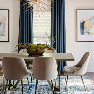 Kenilworth Project - Mid Century Modern Whole House Remodel