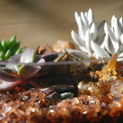 Micro-Gardens - Products