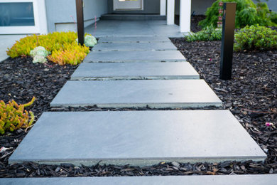 Design ideas for a large contemporary drought-tolerant front yard walkway in San Francisco.