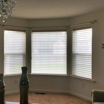 Horizontal Blinds