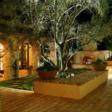 back yard