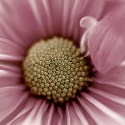 Photos for canvas prints/wall decor - Products
