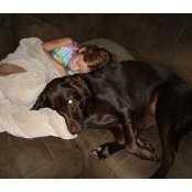 Matthew Broughton's photo