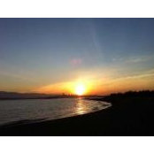 Chao Miao's photo