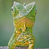Gilles Frapaise's photo