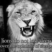 Sam Faria's photo
