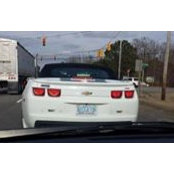 Tracy Franklin's photo