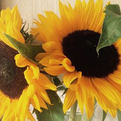 Lisa Lancaster's photo