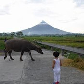 Alex Lozada's photo