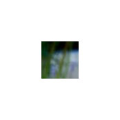 Jennifer Roberts's photo