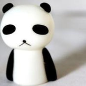 Molly Liu's photo