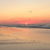Kara Estell's photo