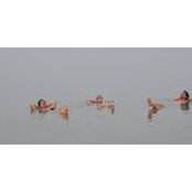 Erez Zemach's photo