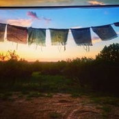 Melissa Downey's photo