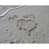 Deb Weingartners foto