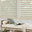 Window Happenings, Inc