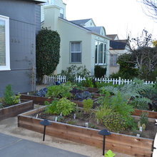 Flourishing Veggie Boxes in SF