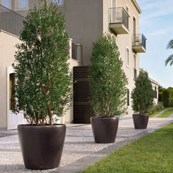 Modern Planter - Products