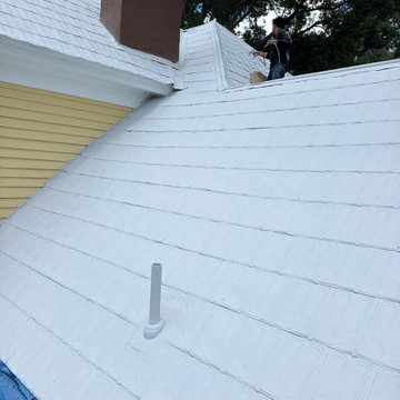 Metal Roofing  Restoration