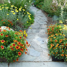 Landscape Ideas