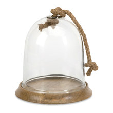terrarium