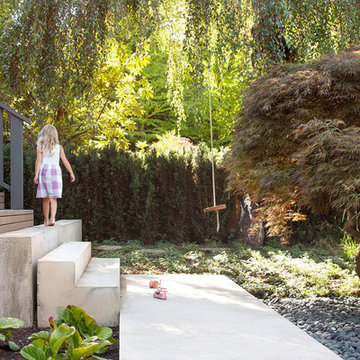 Trotman Renovation
