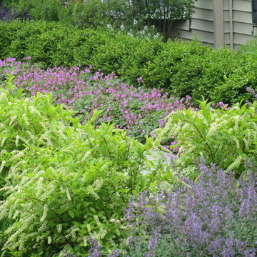 garden design