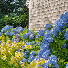 Vashon Ferry Cottage