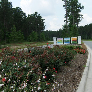Carolina Colours Common Areas